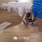 Pakistan White Rice with Pre-shipment Inspection by SGS