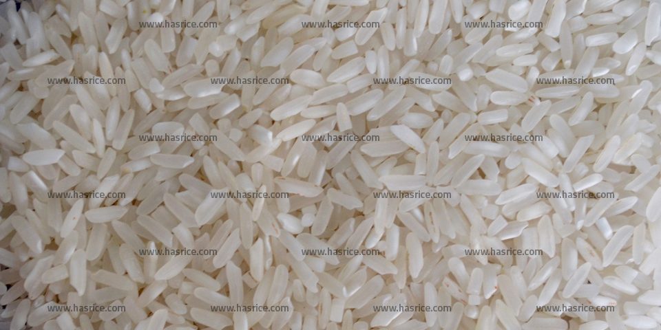 10% Broken Rice