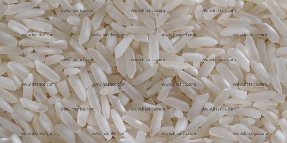 10% Broken Rice