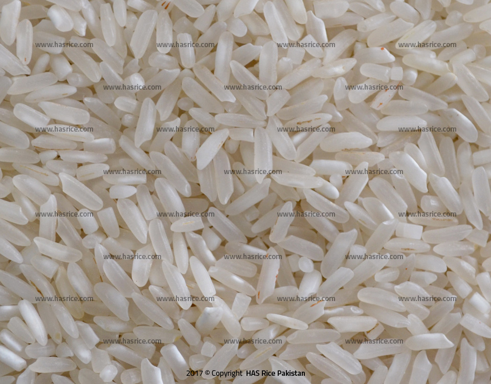 10% Broken Rice