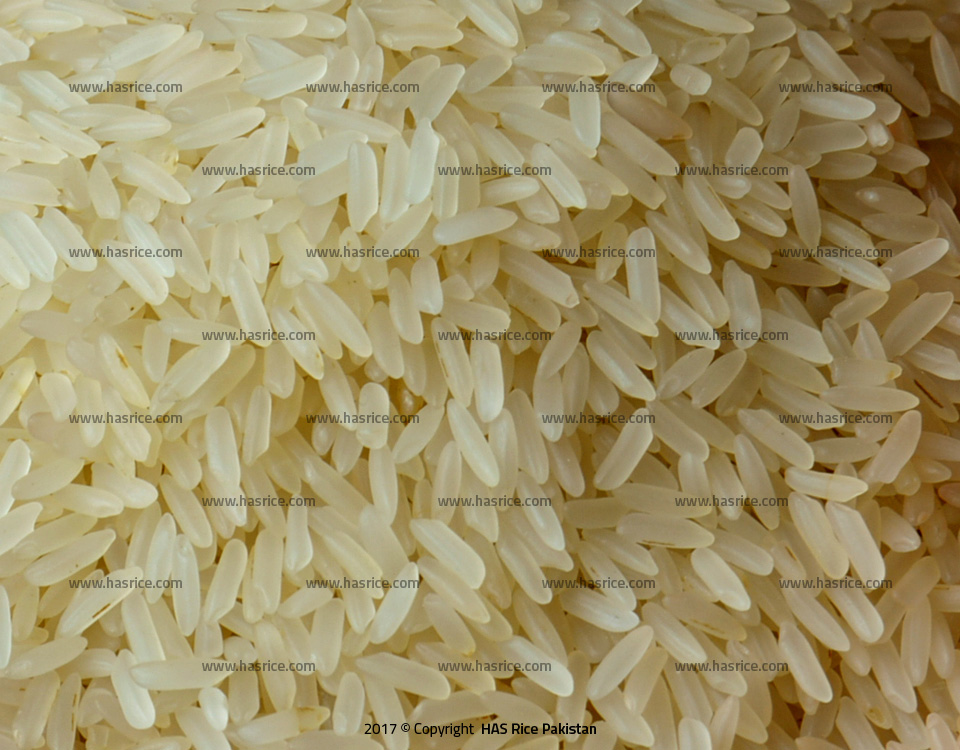 Pakistan Parboiled Rice
