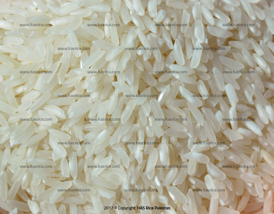 5% Broken White Rice
