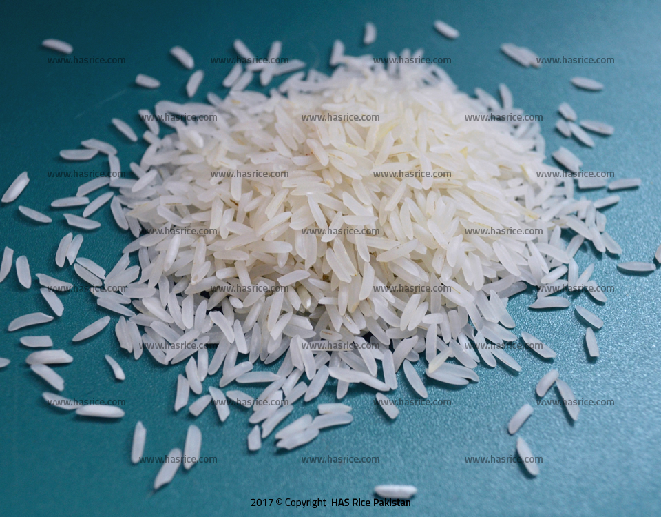 PK386 Fragrant Rice