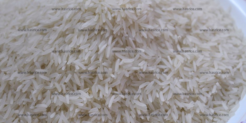 PK386 Fragrant Rice
