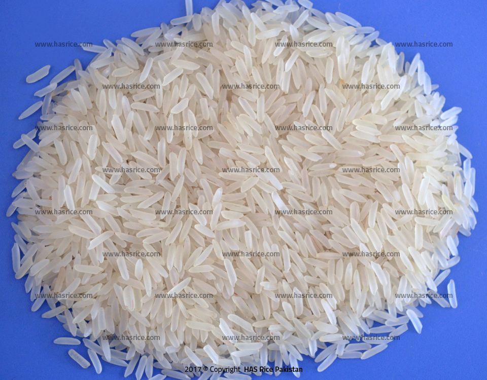 Irri9 White Rice