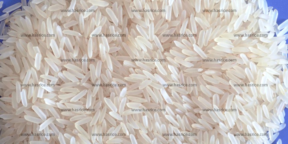 Irri9 White Rice