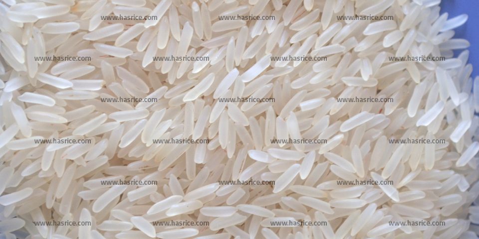 Irri9 White Rice