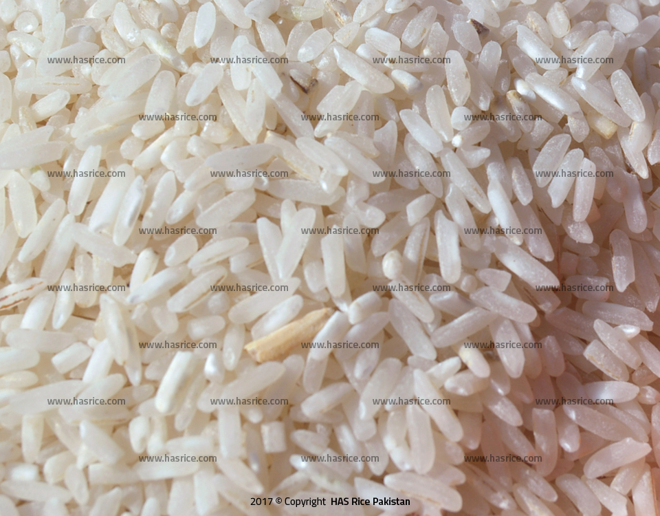 Regular 25% Broken White Rice