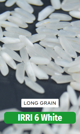 Irri6 white rice