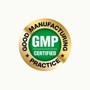 Gmp Logo Cover