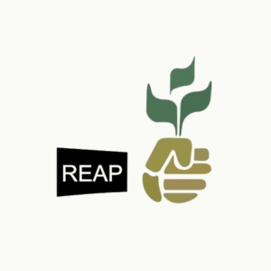Reap-logo-cover