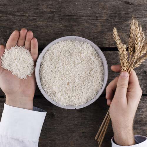 Rice Grains In Hands