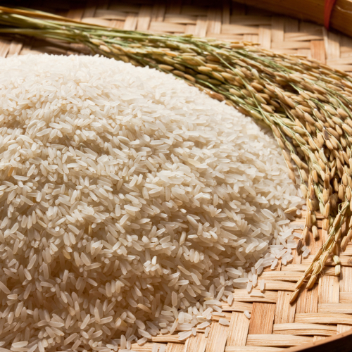 Rice With Raw Rice