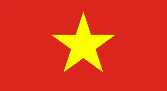 Vietnam Flag Big