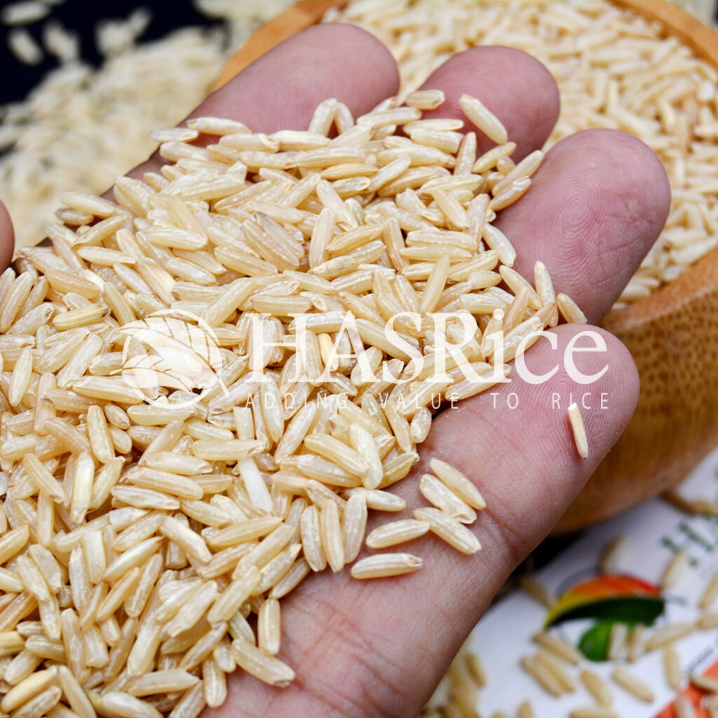 IRRI6 Brown Rice Exporters, IRRI6 Long Grain Brown Rice from Pakistan ...