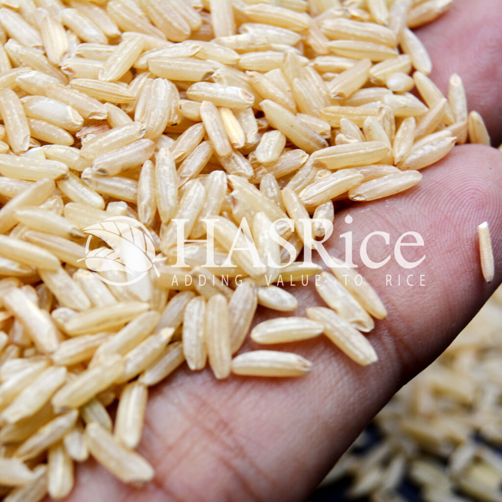 IRRI6 Brown Rice Exporters, IRRI6 Long Grain Brown Rice from Pakistan ...